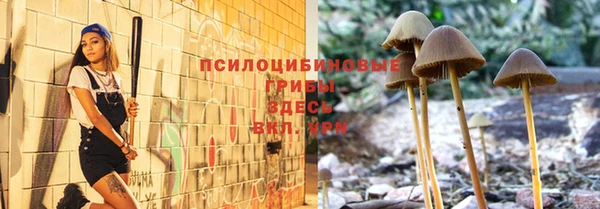 дживик Волоколамск